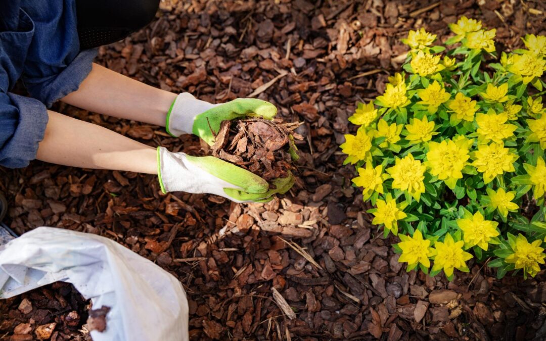 Types of Mulch