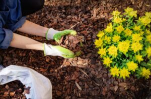 Types of Mulch