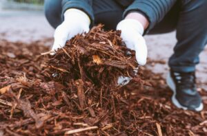Benefits of Mulching