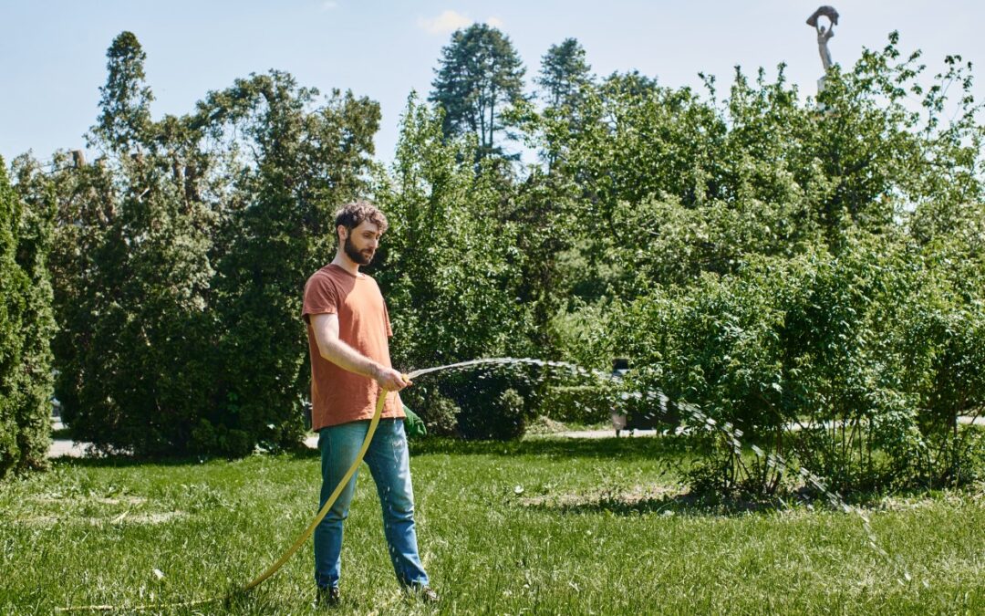Lawn Care