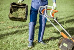 Professional Lawn Maintenance
