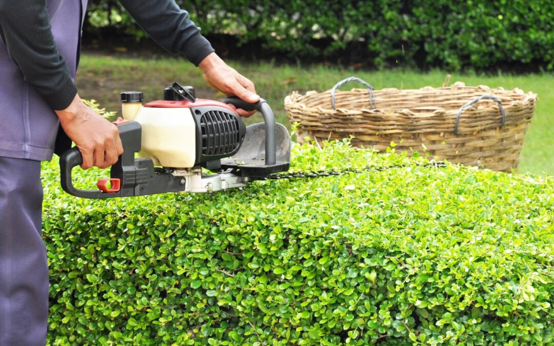 trimming techniques