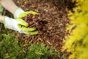Seasonal Mulching